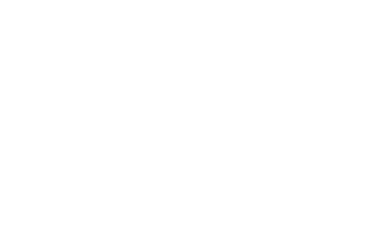 NYVO